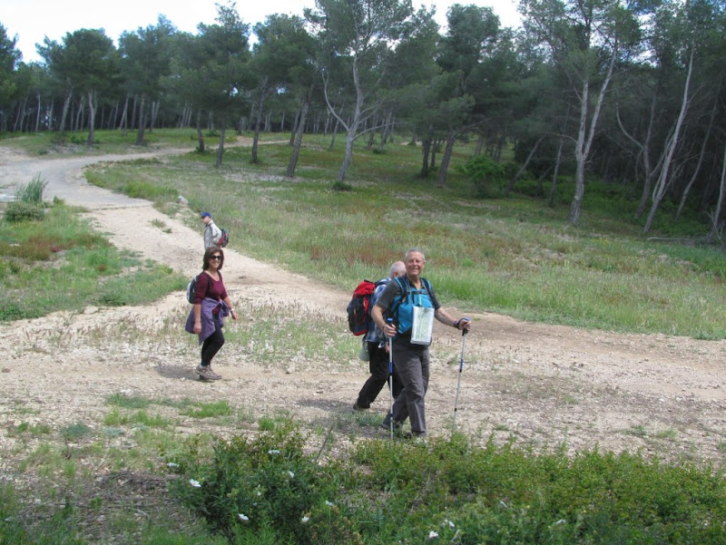 rando Col de la Gatasse  situé entre Martigues le 30 mai 2013 IMG_1729