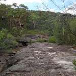 Rock platform above Pools