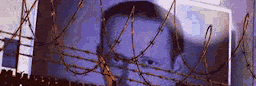 Profile cover photo