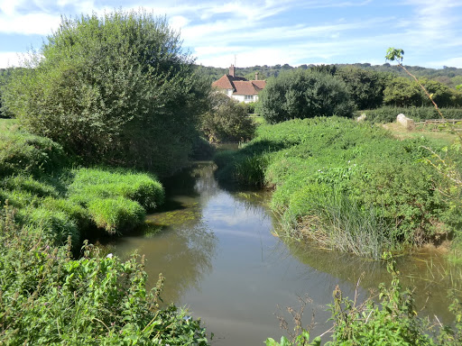 CIMG3988 The River Arun at Pallingham