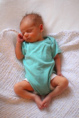 IMG_4039 IMG_4039