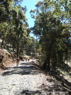 Brecha del Volcán de Tequila