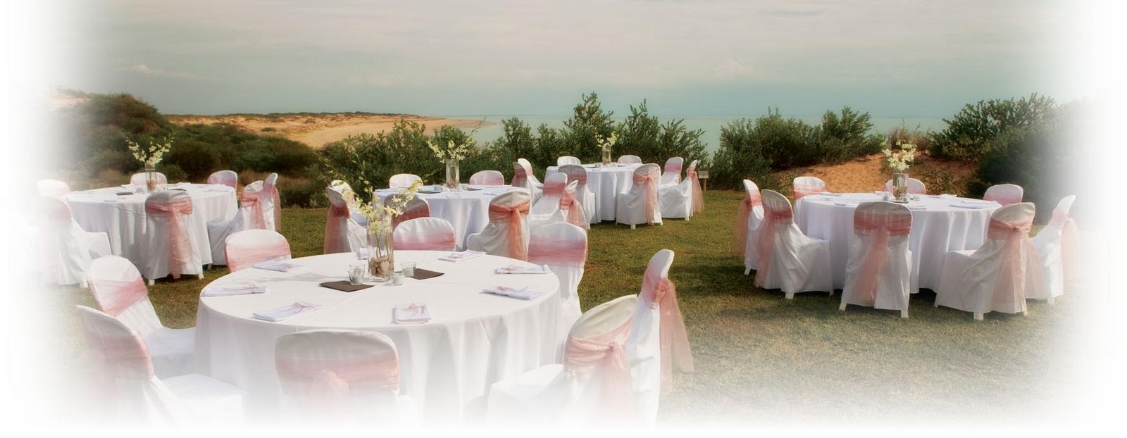 Wedding Venues   Eco Beach