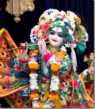 [Lord Krishna]