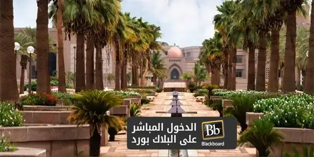 بلاك بورد جامعة الملك عبدالعزيز تسجيل دخول