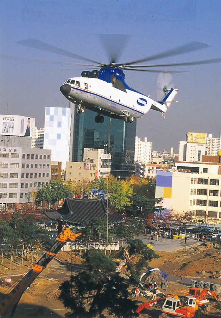 파일:attachment/Mi-26/국채보상운동기념공원소나무.jpg