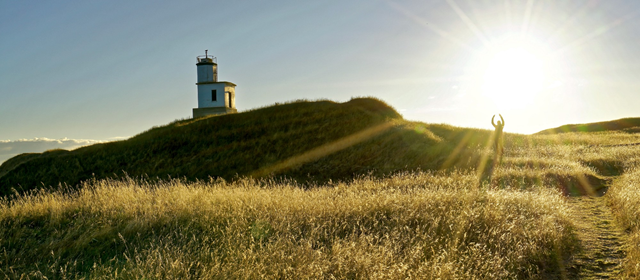 Catching the sun on San Juan Island, Washington, in 2016. Photo: Jonathan Foley