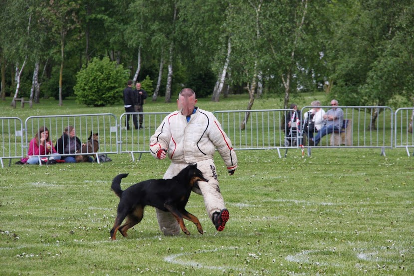 LE BEAUCERON - Page 7 IMG_8850