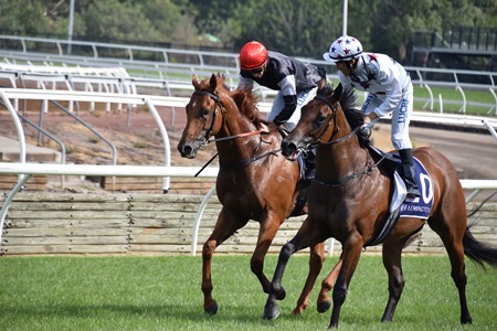 race 8 _bc lightning_written by_sunlight 3 race 8 _bc lightning_written by_sunlight 3