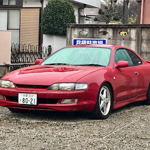 カレン ST206