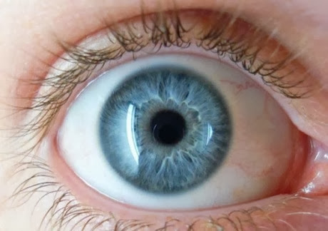 El glaucoma El glaucoma