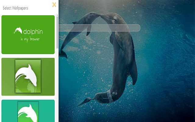 Dolphin Browser for PC & Mac - New Background