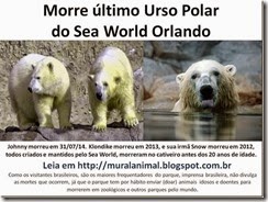 Morre johnny Urso Polar_thumb[1]