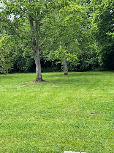 House with garden 3