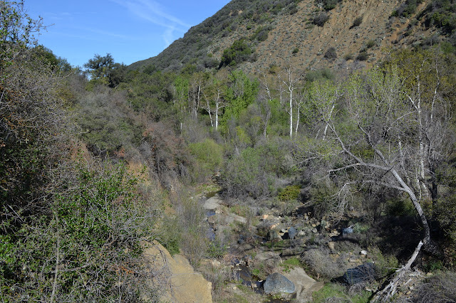 water in the canyon