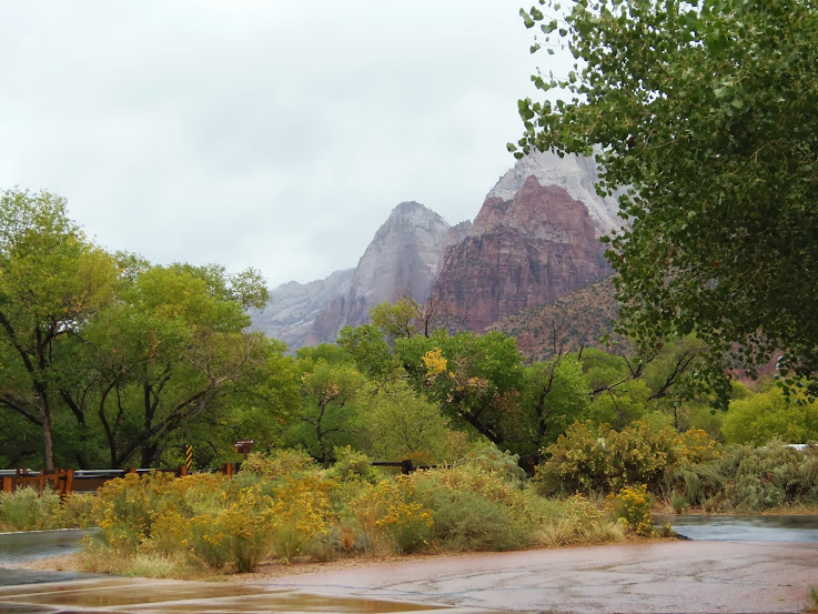 DE ZION NATIONAL PARK A LAS VEGAS - Costa Oeste 2012, el viaje de nuestras vidas (3)