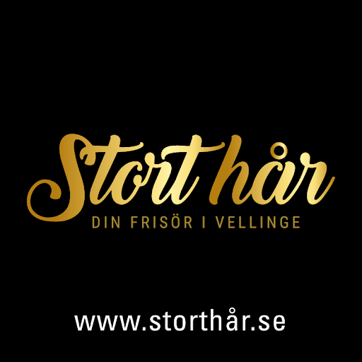 Stort Hår Vellinge logo