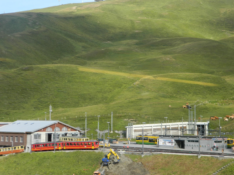 Viaje a Suiza, real-life VI. Jungfraujoch - Dos matrimonios de Cádiz de viaje estival en Suiza. Agosto 2.015 (5)