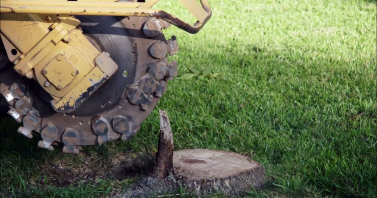 Above and Below Stump Grinding Service.mp4