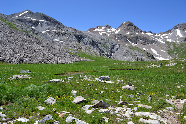 ponds in the meadow