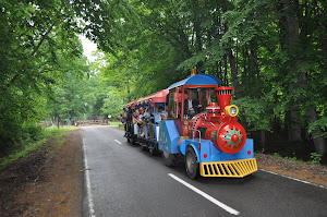 27-29 мая белорусская бойня