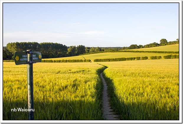 evening walk