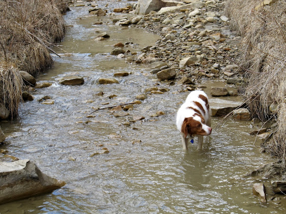 North Fork of Gordon Creek