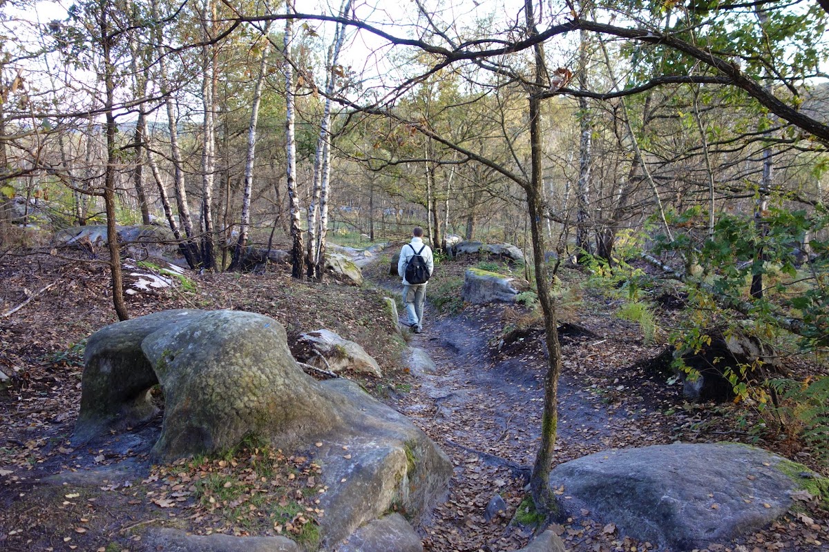 DSC00635.JPG