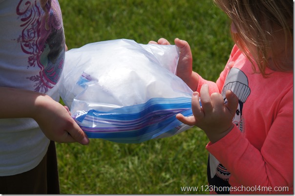 ice cream in a bag summer activity for kids ice cream in a bag summer activity for kids