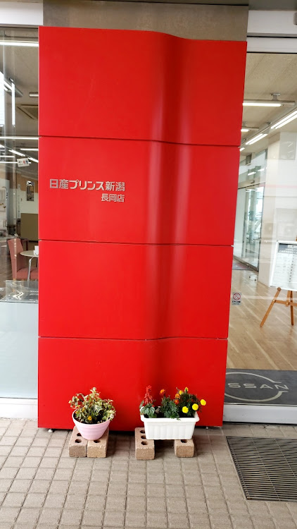 シーマの６月もよろしくお願いします・ワークグノーシス・日産ディーラー最高・1人旅に関するカスタム事例の投稿画像1枚目