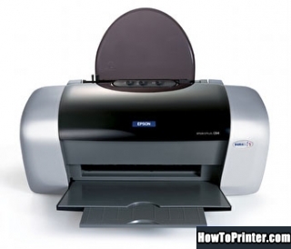 Reset Epson C84 printer by Epson Waste Ink Pad Counters resetter