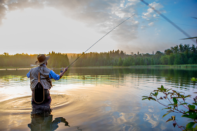 8 Cara membuat Umpan Ikan Nila Yang Ampuh