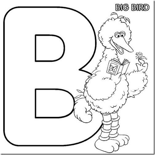 b_bigbird