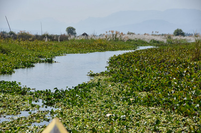 inle