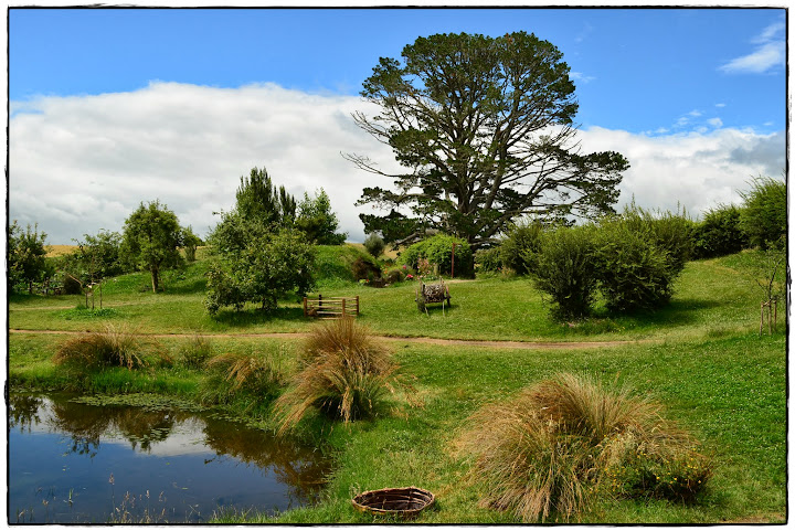 De Rotorua a Coromandel pasando por Hobbiton - Te Ika ā Maui (Nueva Zelanda isla Norte) (6)