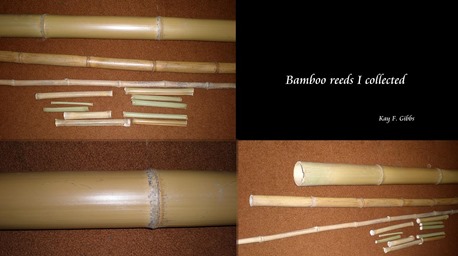 bamboo collected