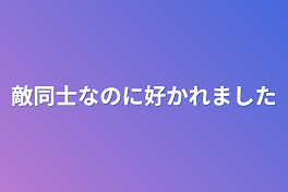 敵同士なのに好かれました