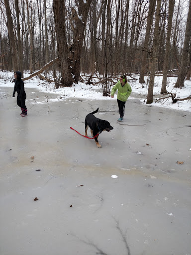 Nature Preserve «Carpenter Lake Nature Preserve», reviews and photos, 27101-27215 W 10 Mile Rd, Southfield, MI 48033, USA