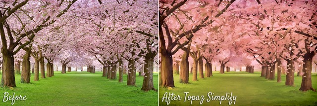 Topaz Labs Simplify Before & After