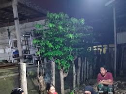 Pembuatan Kebun Dasa Wisma di Dusun Walimpong Desa Barae Berlanjut