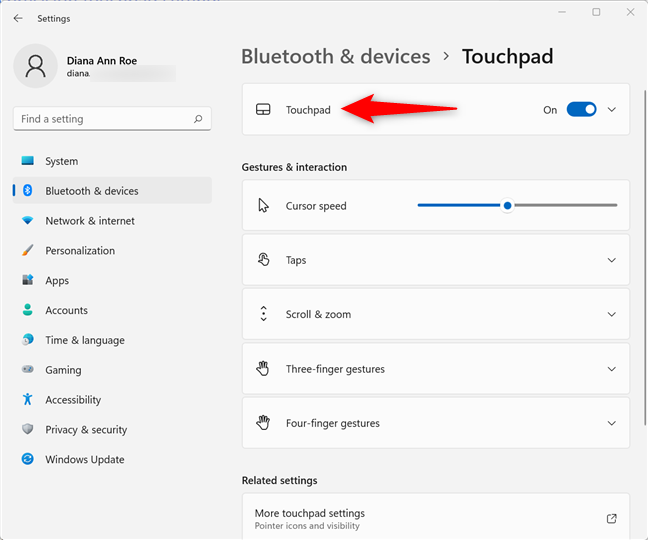 Accedi alla sezione Touchpad