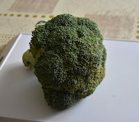 Le chou brocoli