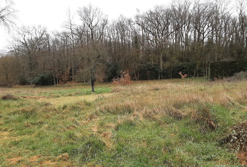  Vente Terrain + Maison - Terrain : 3 000m² - Maison : 148m² à Saumur (49400) 