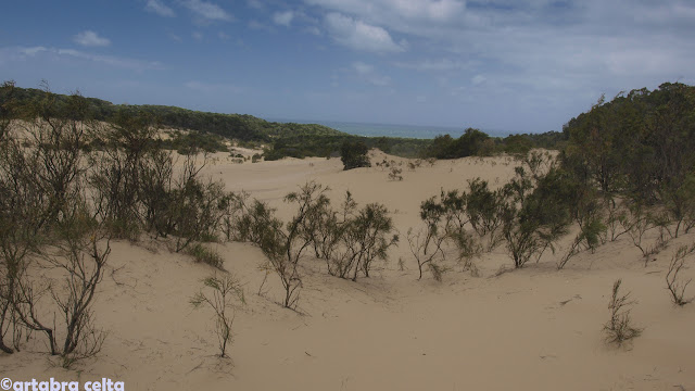 ROAD TRIP Y FRASER ISLAND - AUSTRALIA: UNA AVENTURA DE CONTRASTES (8)