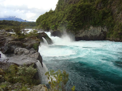 Expectativas, compromisos y pan amasado en Puerto Varas. Buscando el alerce. - EL AÑO DE LAS DOS PRIMAVERAS: 4 MESES VIVIENDO CHILE (7)