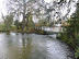 Shotesham  mill pond