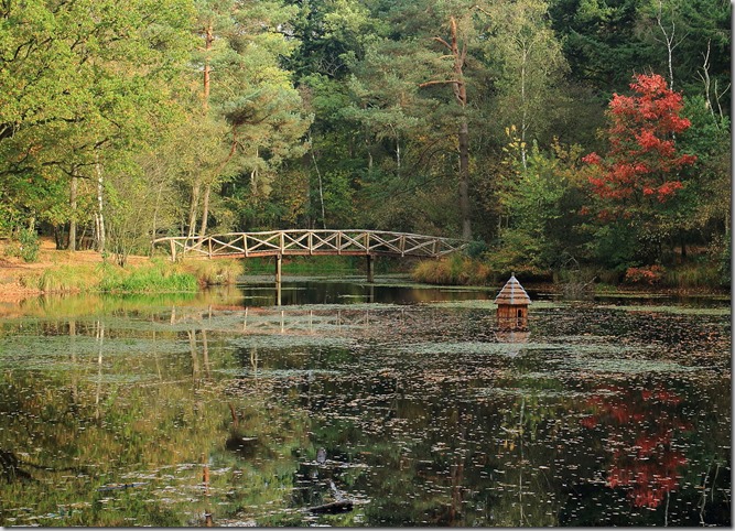 Elfbergen_Gaasterland._Brug_over_de_vijver_01