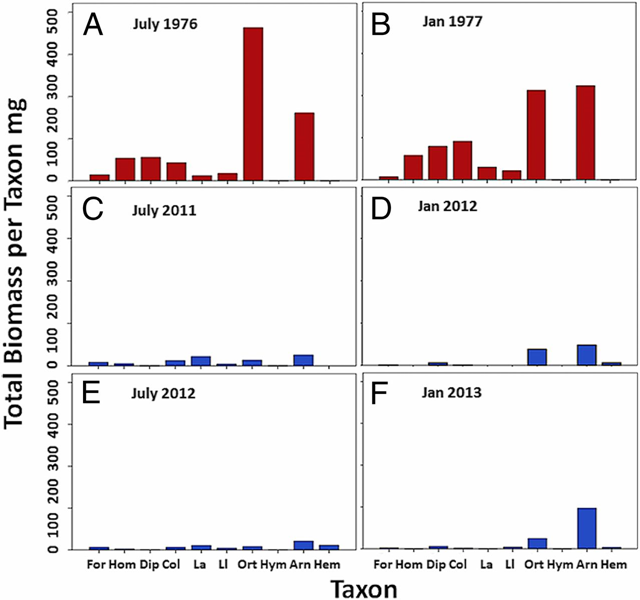 Comparison of total dry-weight biomass for the major arthropod taxa captured in sweep samples taken during the summer (A, C, and E) and winter (B, D, and F) seasons 1976–1977 and 2011–2013, within the same Luquillo forest study area in Puerto Rico. Arn, Areneida; Col, Coleoptera; Dip, Diptera; For, Formicidae; Hem, Hemiptera; Hom, Homoptera; Hym, other Hymenoptera; La, Lepidoptera adults; LI, Lepidoptera larvae; Ort, Orthoptera. Graphic: Lister and Garcia, 2018 / PNAS