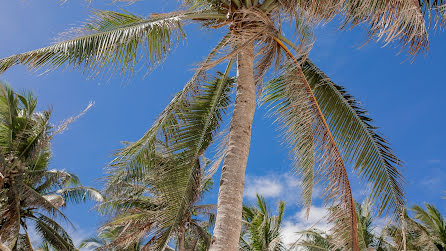 Pulmafotograaf Zhenya Razumnyy (boracayphotoraz). Foto tehtud 5 märts 2017