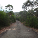 Following the Camp Couts driveway (115393)